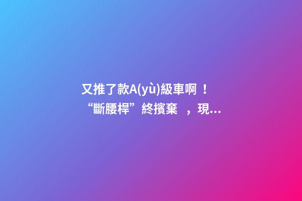 又推了款A(yù)級車?。　皵嘌鼦U”終擯棄，現(xiàn)代這款很帥的三廂或8萬起？